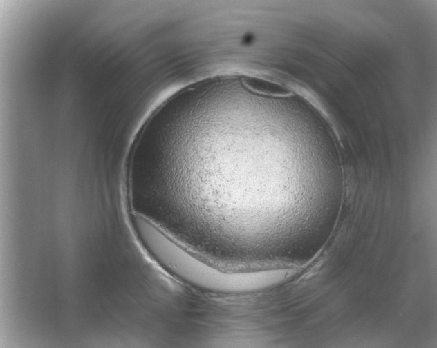 X0000066941048200604071907