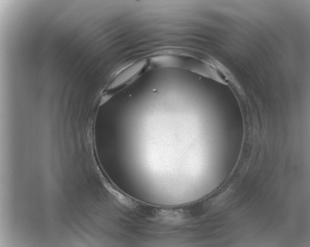 X0000066941049200604071907