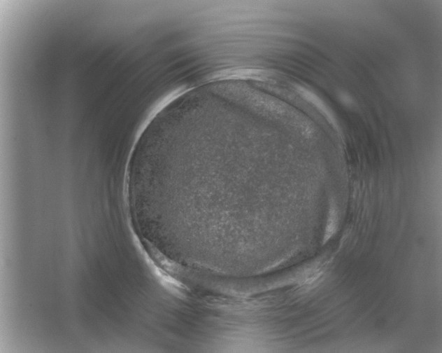 X0000066941050200604071907