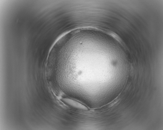 X0000066941052200604071907