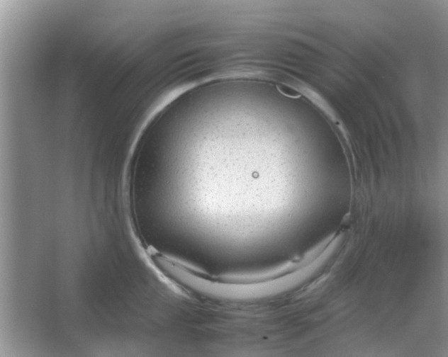 X0000066941053200604071907