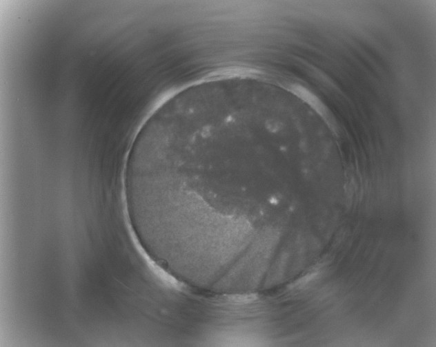 X0000066941055200604071907