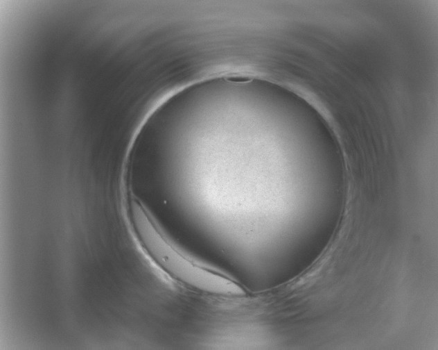 X0000066941056200604071907