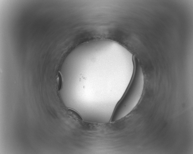 X0000066941057200604071906