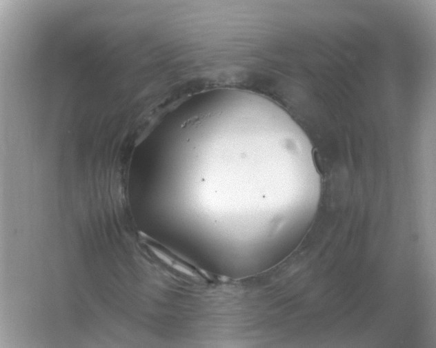 X0000066941058200604071906