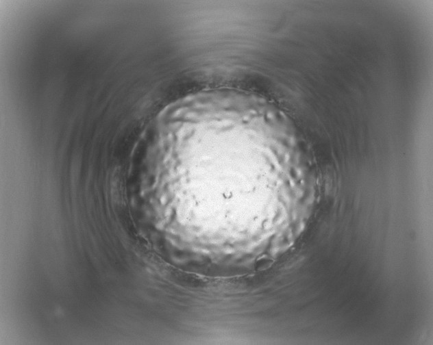 X0000066941059200604071906