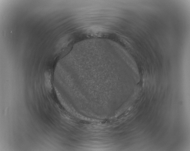 X0000066941060200604071906