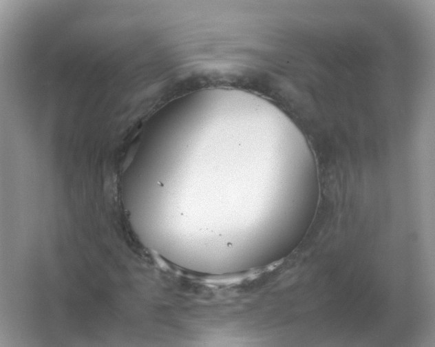 X0000066941061200604071906