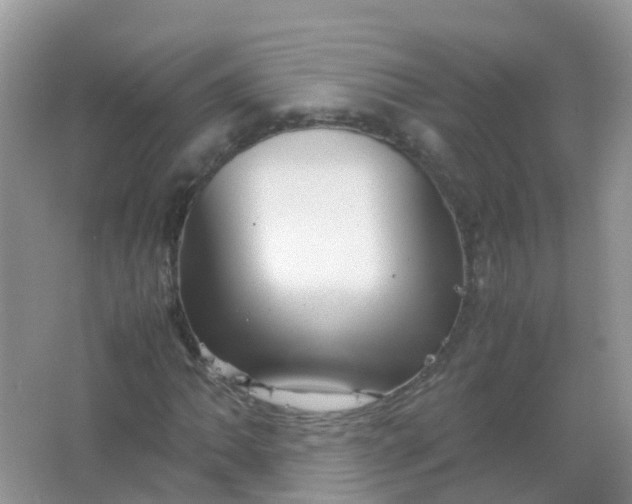 X0000066941062200604071906