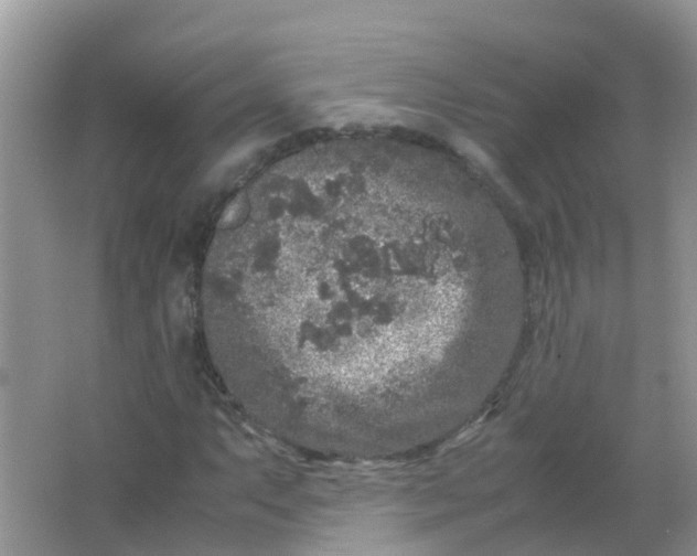 X0000066941063200604071906