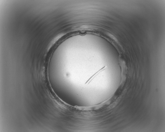 X0000066941066200604071906