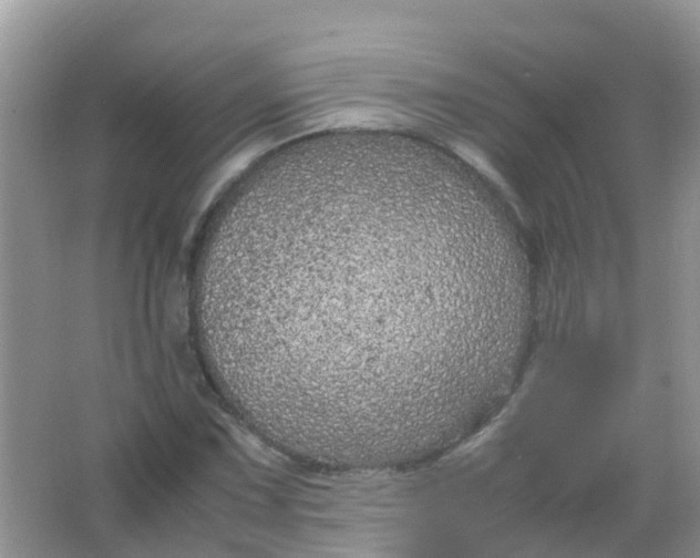 X0000066941067200604071906