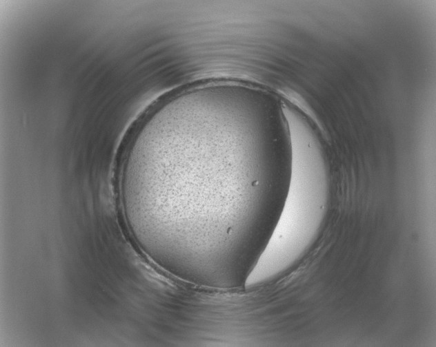 X0000066941068200604071906