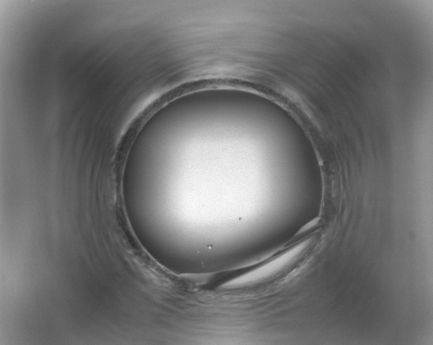 X0000066941069200604071906