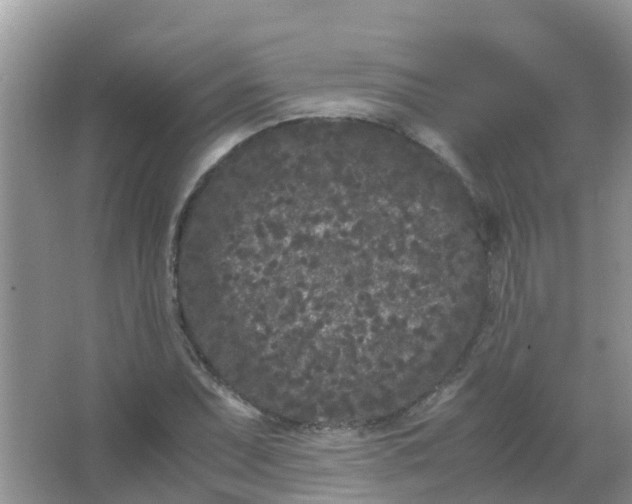 X0000066941071200604071906