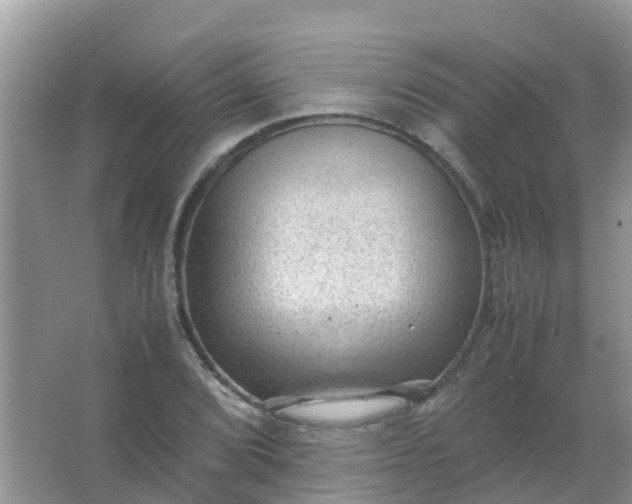 X0000066941072200604071906