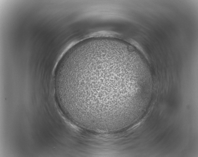 X0000066941075200604071906