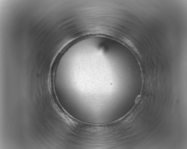 X0000066941076200604071906