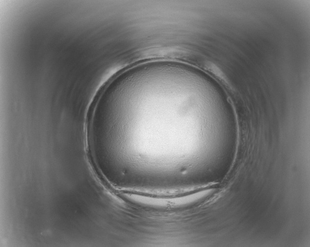 X0000066941079200604071906