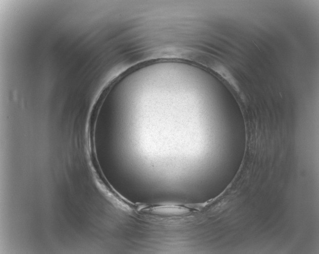 X0000066941080200604071906