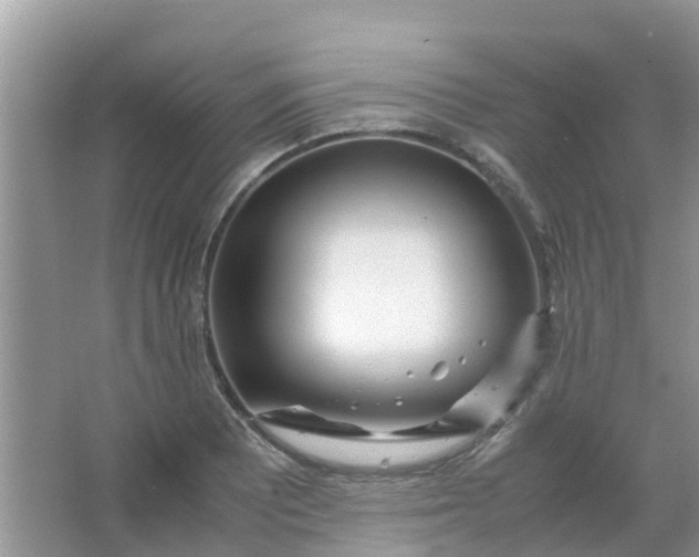 X0000066941081200604071906