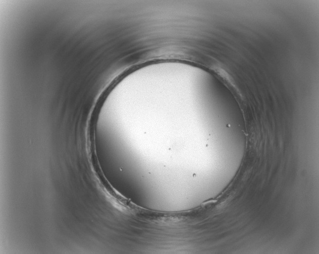 X0000066941082200604071906