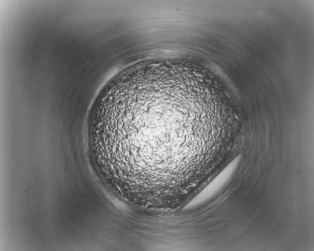 X0000066941083200604071906