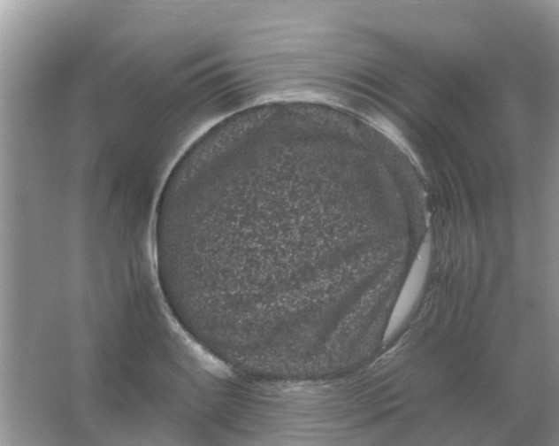 X0000066941084200604071906