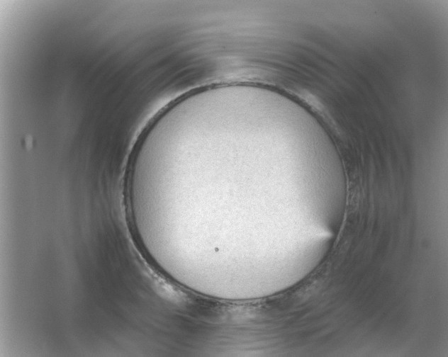 X0000066941086200604071906