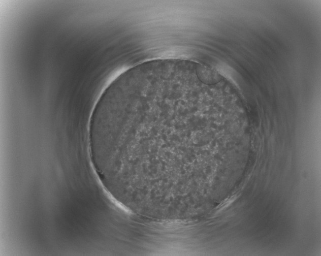 X0000066941087200604071906