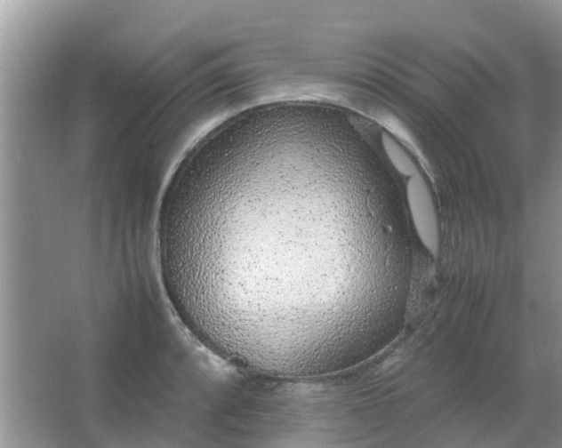 X0000066941088200604071906