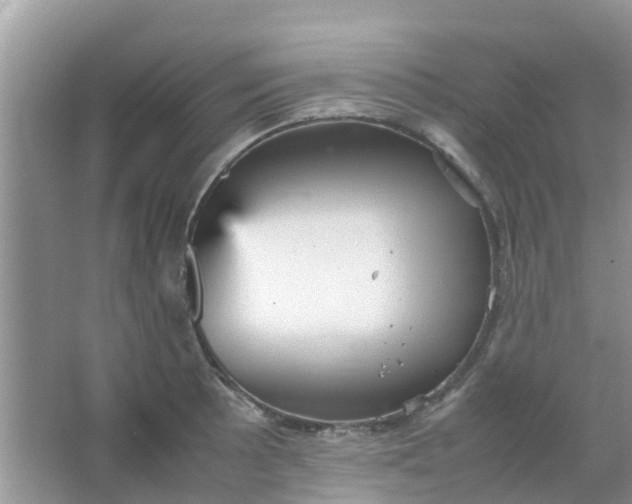 X0000066941089200604071906