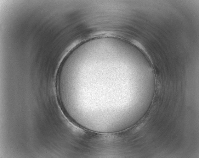 X0000066941090200604071906