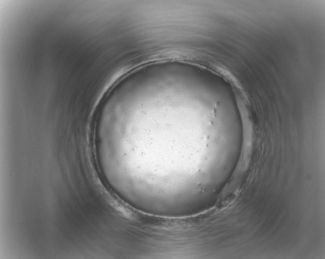 X0000066941091200604071906