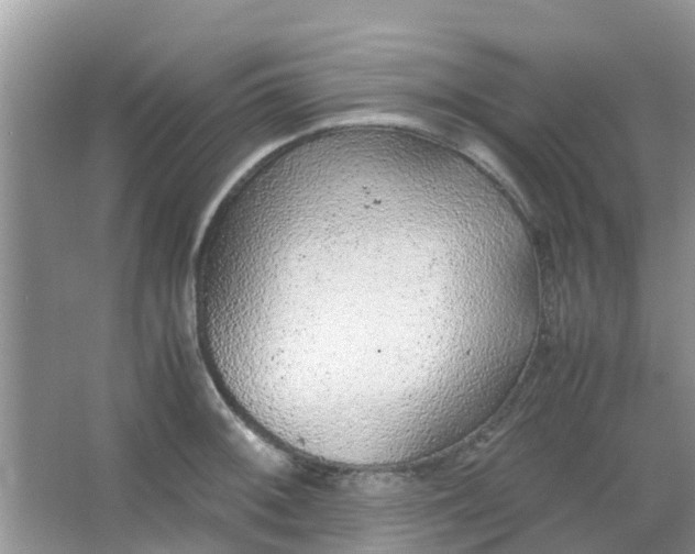 X0000066941092200604071906