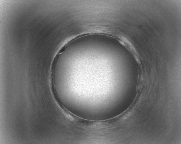 X0000066941093200604071906