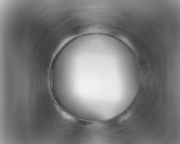 X0000066941094200604071906