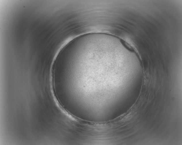 X0000066941096200604071906