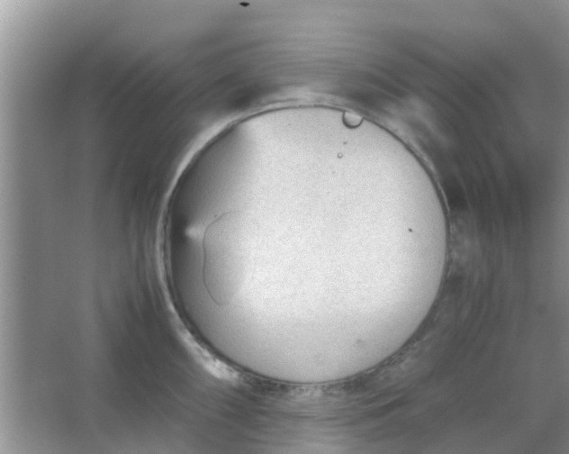 X0000066941098200604071906