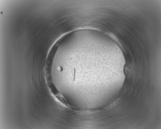 X0000066941100200604071906