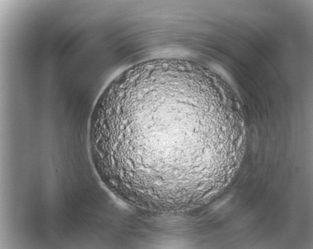 X0000066941103200604071906