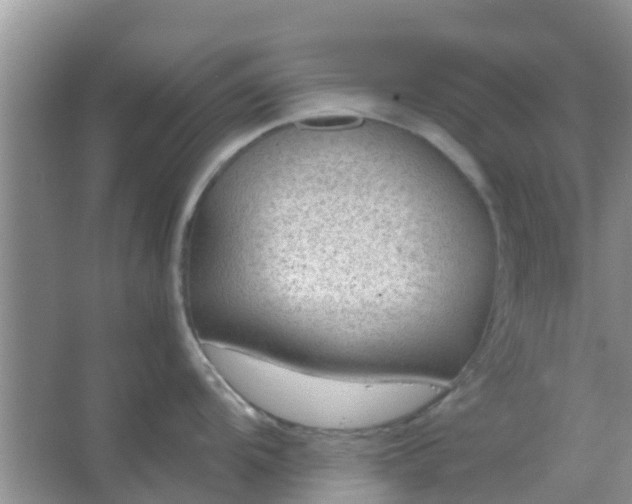 X0000066941104200604071906