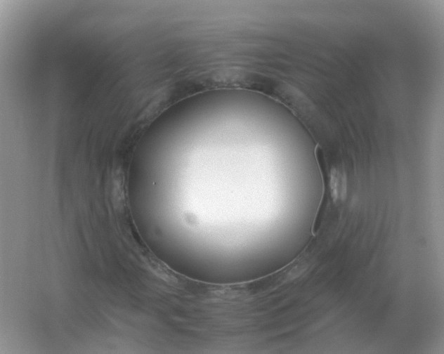 X0000066941107200604071905