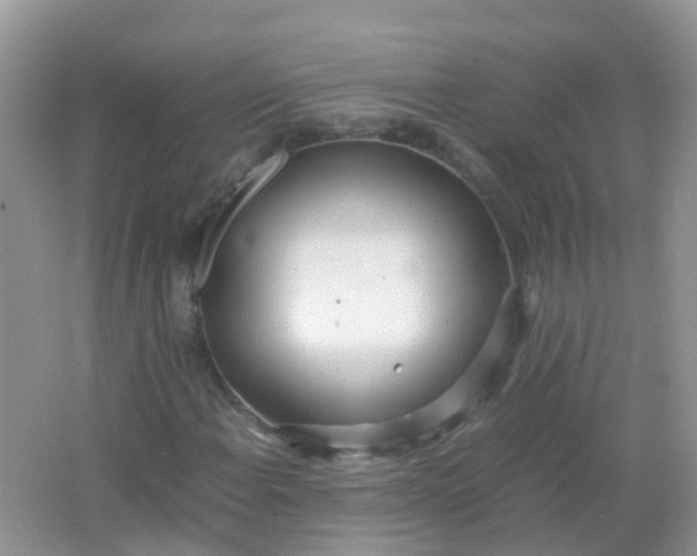 X0000066941108200604071905