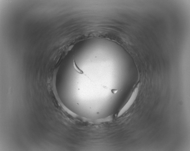 X0000066941109200604071905