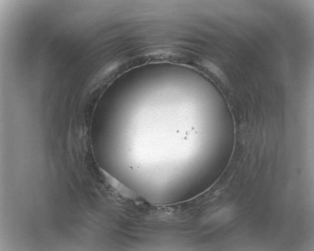 X0000066941111200604071905