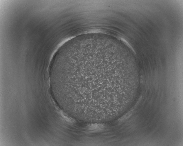 X0000066941117200604071905