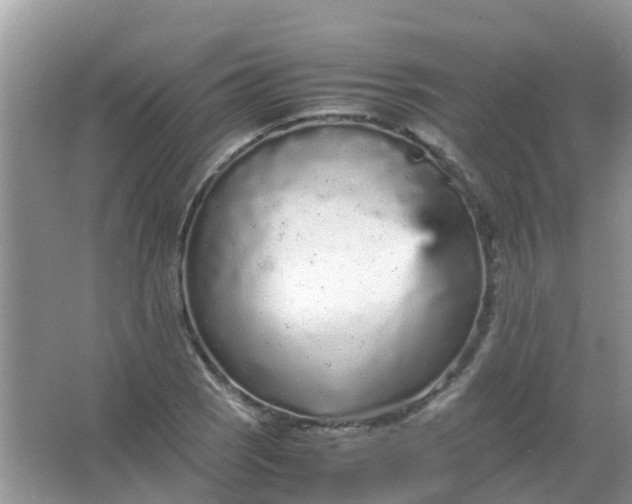 X0000066941121200604071905