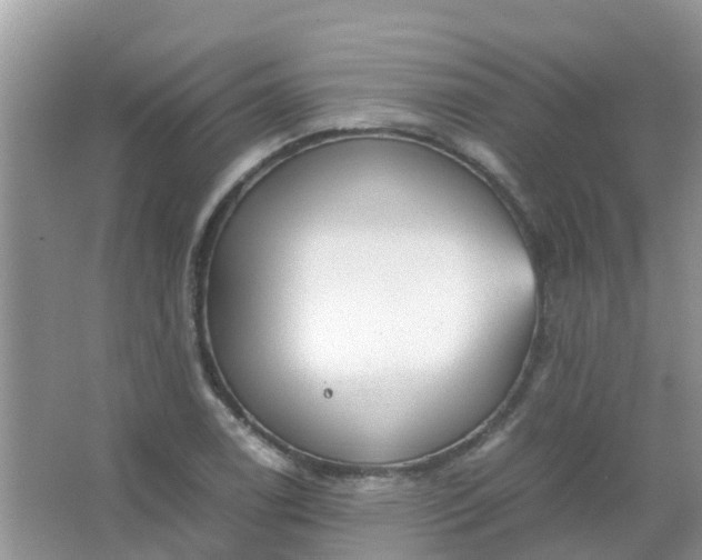 X0000066941122200604071905