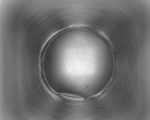 X0000066941124200604071905